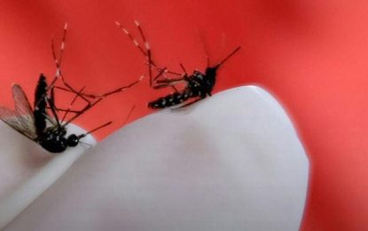 Butuh Sinergisitas Untuk Memberantas Sarang Nyamuk